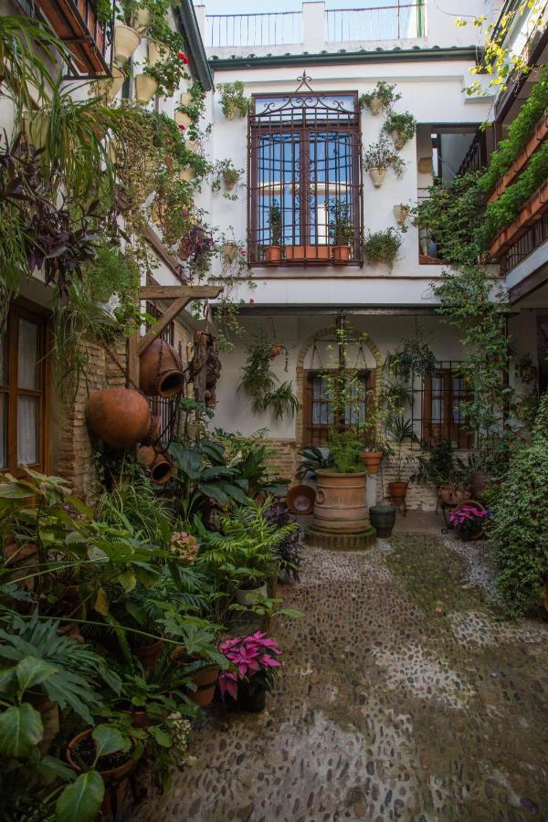 La Sultana *